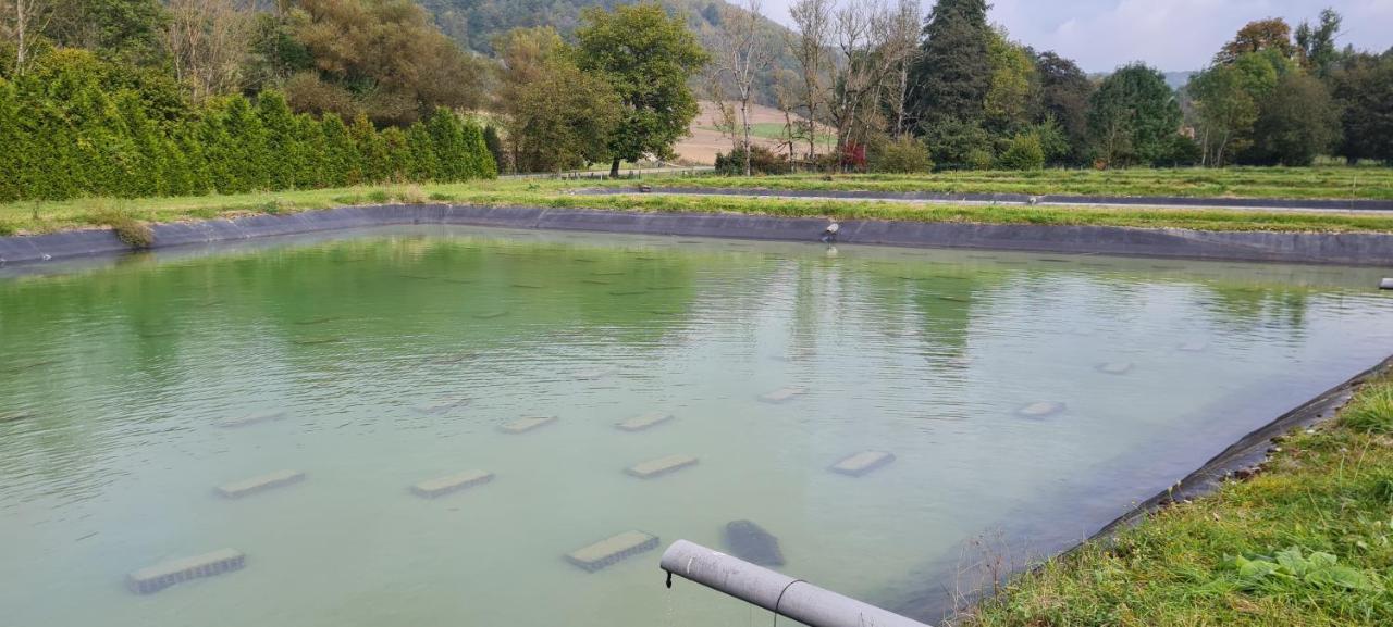 Le Moulin Aux Ecrevisses Bed & Breakfast Thonnance-les-Joinville Luaran gambar