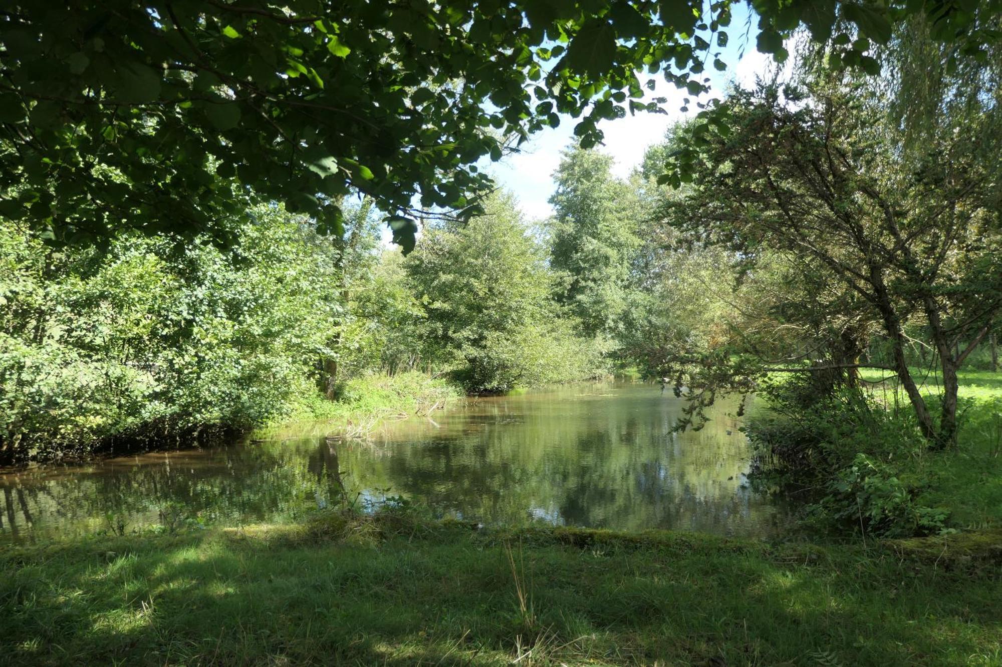 Le Moulin Aux Ecrevisses Bed & Breakfast Thonnance-les-Joinville Luaran gambar